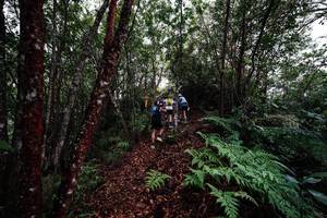 BIB: 
                            <button type="button" onclick="openModal(26201132)" class="btn btn-primary btn-sm float-right btn-popup" data-toggle="modal" data-target=".modal-high-quality">
                        <i class="fas fa-shopping-cart"></i> Add to Cart
                    </button>
                                            <button type="button" onclick="isThisMe(26201132, true)" class="btn btn-success btn-sm float-right btn-popup btn-isme hidden" data-toggle="tooltip" data-placement="bottom" title="นี่คือรูปของคุณใช่ไหม คลิกที่นี่เพื่อเอาเข้าอัลบั้ม">
                        <i class="fas fa-plus"></i> Add to album
                    </button>
                    <button type="button" onclick="isThisMe(26201132, false)" class="btn btn-warning btn-sm float-right btn-popup btn-isnotme hidden">
                        <i class="fas fa-ban"></i> Remove from album
                    </button>